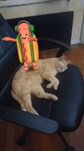 snapchat hotdog